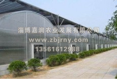 多肉植物棚廠家分享：多肉在園林的應(yīng)用